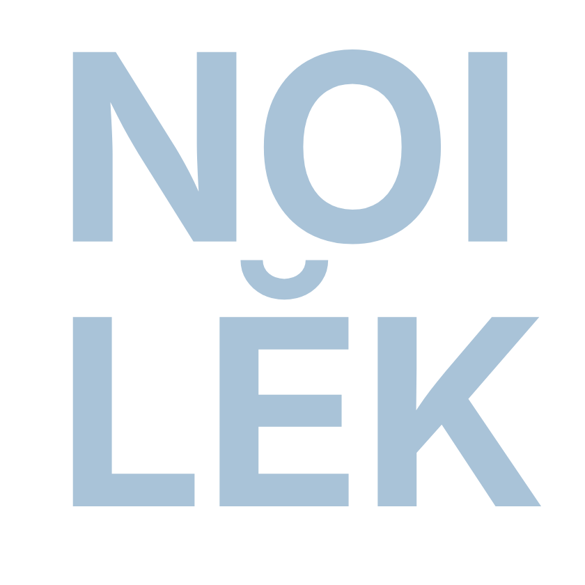 NoiLek